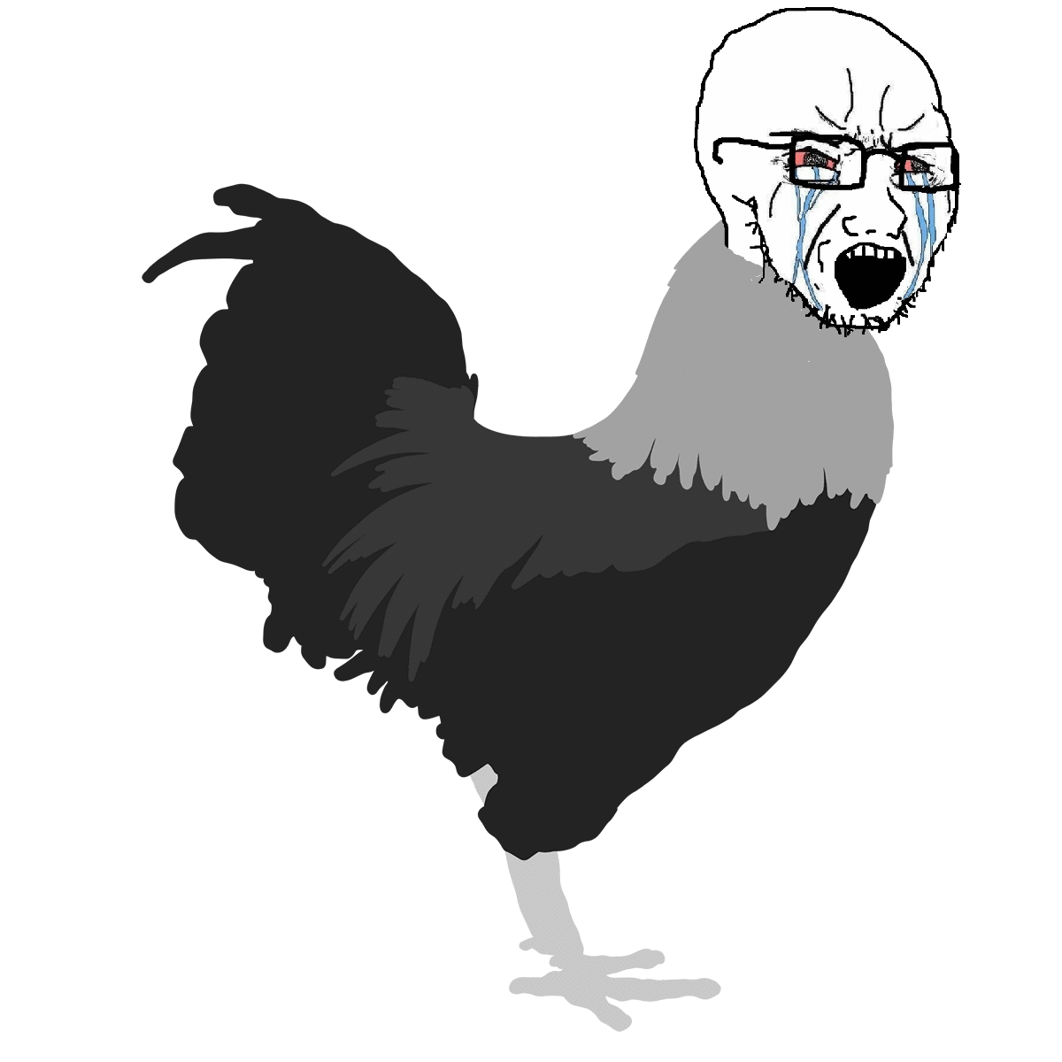 animal animated bbc bloodshot_eyes chicken crying fast glasses open_mouth rooster running soyjak stubble variant:soyak // 1200x1200 // 766.6KB
