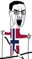 arm bloodshot_eyes clothes country crying flag flag:norway full_body glasses hair hand leg norway open_mouth skiing soyjak variant:chudjak // 917x1661 // 359.5KB