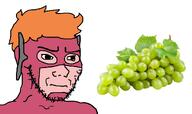 concerned grapes green_grapes irritated sour_Grapes subvariant:soyak_(irritated) the_flash variant:soyak wally_west // 2212x1316 // 734.1KB concerned grapes green_grapes irritated sour_Grapes subvariant:soyak_(irritated) the_flash variant:soyak wally_west // 2212x1316 // 734.1KB
