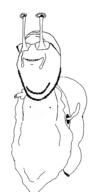 closed_mouth eye_stalks glasses nipple nsfw penis poop smile snail stubble variant:gapejak // 1064x1980 // 41.2KB