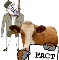 aryan_cow azog azov_battalion blood bloodshot_eyes cross fact flag full_body glasses hanging leg marichka mustache neovagina nigger_cow open_mouth rope soyjak stubble suicide text tongue tranny ukraine variant:bernd yellow_teeth // 911x917 // 490.9KB