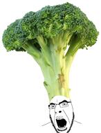 broccoli clothes food foodjak glasses hat open_mouth series:fruiterz! soyjak stubble variant:cobson vegetable // 1833x2417 // 2.5MB