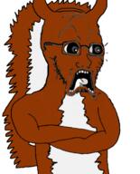 squirrel // 564x699 // 101.5KB