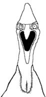 animal cassowary chicken glasses open_mouth stubble // 239x499 // 3.3KB