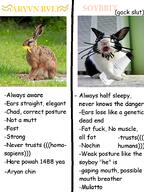 1488 a10_eyes animal aryan comparison fat glasses hare holding_object human irl irl_soy mammal mulatto open_mouth rabbit real_life sleep soy soyboy soylent soylent_(original) soylent_bottle stubble text wall_of_text // 899x1200 // 711.5KB