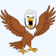 animal bald_eagle beak bird eagle feather full_body open_mouth series:animaljaks soyjak stubble variant:a24_slowburn_soyjak wing // 1200x1200 // 25.4KB