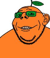 froot glasses leaf orange_skin stubble subvariant:gapealien // 716x832 // 24.4KB