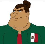 flag:mexico man_bun manbun mexican_flag mexico subvariant:mexiaryan // 1024x1008 // 231.5KB