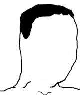 hair no_face soyjak variant:chudjak // 645x770 // 20.6KB