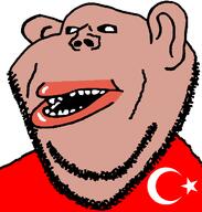 amerimutt turkiye // 598x628 // 19.4KB