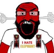 beer elephant i_hate variant:markiplier_soyjak // 800x789 // 177.9KB
