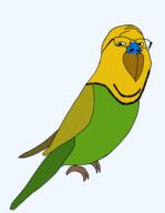 animal beak bird budgie full_body glasses series:animaljaks soyjak variant:gapejak wing // 1489x1920 // 25.3KB