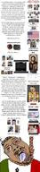 brown_eyes brown_skin countrywar hanging italy judaism pol_(4chan) queen_of_spadese schizo schizophrenia spaghett text tranny variant:bernd // 307x1299 // 153.8KB
