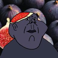 angry fig food fruit greece series:operation_fruitjak subvariant:kranos variant:impish_soyak_ears // 768x768 // 48.7KB angry fig food fruit greece series:operation_fruitjak subvariant:kranos variant:impish_soyak_ears // 768x768 // 48.7KB