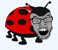 angry animal antenna bug full_body glasses ladybug open_mouth series:animaljaks soyjak stubble variant:feraljak // 1000x855 // 30.4KB