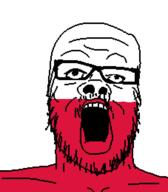 country flag flag:poland glasses open_mouth poland polish soyjak stubble variant:a24_slowburn_soyjak // 454x520 // 7.5KB