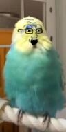 bird birdjak low_effort variant:soyak // 720x1440 // 814.6KB