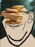 beige_skin ear forest fungus glasses irl_background mushroom smile soyjak stubble variant:impish_soyak_ears // 388x522 // 277.5KB