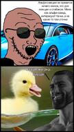 andrew_tate brown_skin bugatti car clothes comic cyrillic_text duck gigachad glasses irl irl_background open_mouth soyjak stubble sunglasses variant:soyak yellow_teeth // 899x1600 // 324.4KB