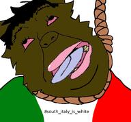 OP_IS_A_MINDBROKEN_PAJEET_RETARD_WHO_IS_OBSESSED_WITH_ITARYANS india italy // 760x704 // 171.5KB