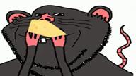 animal buck_teeth cheese ear rat smile soyjak stubble tail variant:impish_soyak_ears // 1280x720, 1.1s // 627.2KB