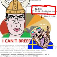 ack chart country dying flag flag:sweden pagan rope statistic subvariant:chudjak_front sweden text variant:bernd variant:chudjak viking_helmet white_skin // 3072x3072 // 8.5MB