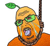 anti_froot crying food froot froot_(user) fruit hanging orange orange_skin soyjak variant:shotjak // 417x380 // 160.8KB