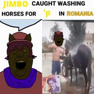 horse jimbo_(namefag) jimbo_(user) meta:namefags nigga niko_(oneshot) oneshot romania variant:alicia // 720x720, 13s // 12.6MB horse jimbo_(namefag) jimbo_(user) meta:namefags nigga niko_(oneshot) oneshot romania variant:alicia // 720x720, 13s // 12.6MB