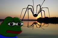 arm bug crossed_arms foot frog glasses hand irl irl_background neutral pepe sitting smile soyjak spider stubble subvariant:wholesome_soyjak sunset variant:gapejak // 6403x4218 // 1.6MB