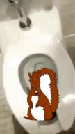 animal animated claw flushed fur glasses irl irl_background looking_at_you open_mouth squirrel subvariant:feralsquirrel tail toilet variant:feraljak // 144x255 // 1017.2KB