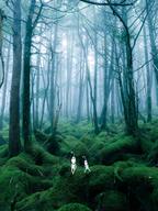 Foggy full_body nature shadow variant:cobson variant:gapejak // 1536x2048 // 2.2MB
