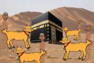 goat islamic kaaba variant:nojak // 1600x1066 // 1.3MB