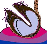 black_skin flag:bisexual_pride_flag purple_hair rope slopjak variant:bernd // 768x719 // 255.0KB