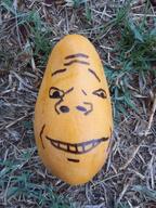 grass irl mango no_glasses subvariant:wholesome_soyjak variant:gapejak yellow // 1200x1600 // 277.0KB