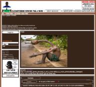 Post #113896